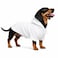 Lovelonglong Blank Basic Hoodie Sweatshirt for Dogs 100 Cotton Fits Small Medium Dachshund Large Dog OffWhite DL