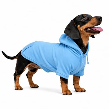 Lovelonglong Blank Basic Hoodie Sweatshirt for Dogs 100 Cotton Fits Small Medium Dachshund Large Dog SkyBlue DS