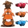 DENTRUN Dog Life Jacket for Swimming Boating High Visibility Pool Beach Safety Vest with Rescue Handle Adjustable Puppy Life Preserver with Superior Buoyancy Flotation for Small Medium Large Dogs