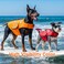 DENTRUN Dog Life Jacket for Swimming Boating High Visibility Pool Beach Safety Vest with Rescue Handle Adjustable Puppy Life Preserver with Superior Buoyancy Flotation for Small Medium Large Dogs