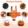 DENTRUN Dog Life Jacket for Swimming Boating High Visibility Pool Beach Safety Vest with Rescue Handle Adjustable Puppy Life Preserver with Superior Buoyancy Flotation for Small Medium Large Dogs