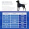 Paws Aboard Dog Life Jacket Premium Swim Vest with SafeChin AntiChoke Collar PAWS Aboard Pink Polka Dot RapidLift Rescue Handle DRing Reflective Trim Boating Kayaking Pool XXSmall Under 6 lbs