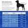 Paws Aboard Dog Life Jacket Premium Swim Vest with SafeChin AntiChoke Collar PAWS Aboard Pink Polka Dot RapidLift Rescue Handle DRing Reflective Trim Boating Kayaking Pool XXSmall Under 6 lbs