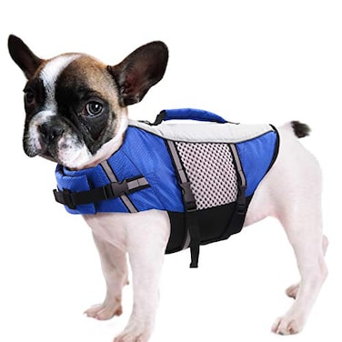 Queenmore Dog Life Jacket Swimming Vest Lightweight High Reflective Pet Lifesaver with Lift Handle Leash Ring BlueS