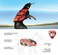EzyDog Ezydog DFD Dog Life Jacket Adjustable Swimming Safety Vest with Reflective Trim Durable Grab Handle 50 More Flotation Material XLarge Red