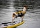 EzyDog DFD Micro Dog Life Jacket for Small Dogs Adjustable Swimming Safety Vest for Dogs Under 15 Pounds with Reflective Trim Durable Grab Handle XSmall Red