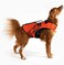EzyDog DFD X2 Dog Life Jacket Adjustable Swimming Safety Life Vest Preserver with Continuous Neck Flotation Reflective Trim Grab Handle Medium Red
