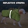 Dolitego Dog Raincoat Reflective Hooded Dog Rain Jacket with Harness Hole Lightweight Doggy Rain Coats for Small Dogs Adjustable Pet Slicker Poncho Small Green
