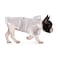 HDE Dog Raincoat Jacket Reflective Adjustable Hooded Pet Poncho Rain Coat with Leash Hole for Small to XLarge Dogs Clear S