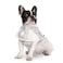 HDE Dog Raincoat Jacket Reflective Adjustable Hooded Pet Poncho Rain Coat with Leash Hole for Small to XLarge Dogs Clear S
