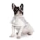 HDE Dog Raincoat Jacket Reflective Adjustable Hooded Pet Poncho Rain Coat with Leash Hole for Small to XLarge Dogs Clear S