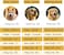 KOOGAL Pet Large Dog Raincoat Apparel Poncho Waterproof for Medium Large Sized for Dog Raincoat Clothes Jacket 6XL Green