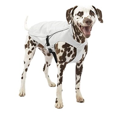Kurgo Halifax Rain Shell Dog Raincoat Waterproof Rain Jacket for Dogs Pet Poncho Reflective Leash Opening Quick Release Buckles Stormy White Medium