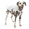 Kurgo Halifax Rain Shell Dog Raincoat Waterproof Rain Jacket for Dogs Pet Poncho Reflective Leash Opening Quick Release Buckles Stormy White Medium