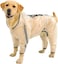 Olsa Dog Raincoat Dog Hooded Slicker Poncho 4 Legs Rain Jacket with Reflective Stripe Transparent Water Proof Resistant Rain Snow Clothes for Small Medium Large