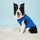 Chol&Vivi CholVivi Dog Clothes 2pcs Soft Cotton TShirts for Small Medium Large Extra Large Dogs Blue and Purple XXS 12 Chest