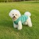 Chol&Vivi CholVivi Dog Clothes 2pcs Soft Cotton TShirts for Small Medium Large Extra Large Dogs Light Blue and Green M 18 Chest