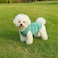 Chol&Vivi CholVivi Dog Clothes 2pcs Soft Cotton TShirts for Small Medium Large Extra Large Dogs Light Blue and Green XXS 12 Chest