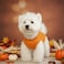 Chol&Vivi CholVivi Dog Clothes 2pcs Soft Cotton TShirts for Small Medium Large Extra Large Dogs Red and Orange S 16 Chest