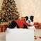 Chol&Vivi CholVivi Dog Clothes 2pcs Soft Cotton TShirts for Small Medium Large Extra Large Dogs Red and Orange XXS 12 Chest