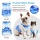 Coppthinktu Dog Cooling Vest Shirts Breathable Cooling Jacket Anxiety Relief Sun Protection Soft Dog Cool Coat for Small Medium Dogs Cats Outdoor Walking Training Hiking on Summer