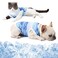 Coppthinktu Dog Cooling Vest Shirts Breathable Cooling Jacket Anxiety Relief Sun Protection Soft Dog Cool Coat for Small Medium Dogs Cats Outdoor Walking Training Hiking on Summer