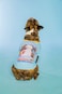 Doggy Parton Blue Dolly The Mighty Fine Band Shirt for Pets L 22120728