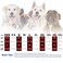 Paiaite Elevate Your Pets Seasonal Style with Playful Panache 4Piece Set of Dog Shirts Featuring Hilarious Printed Patterns for Airy Comfort in Summer and Fall Classic Set 1 XSmall