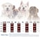 Paiaite Elevate Your Pets Seasonal Style with Playful Panache 4Piece Set of Dog Shirts Featuring Hilarious Printed Patterns for Airy Comfort in Summer and Fall Classic Set 2 XSmall