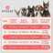 KYEESE Waffle Dog Shirts for Small Dogs Soft Breathable TShirts Lightweight Sleeveless Pet Vest Stretchy Puppy Clothes with Pocket Decoration and Plaid Patchwork Design Medium