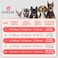 KYEESE Waffle Dog Shirts for Small Dogs Soft Breathable TShirts Lightweight Sleeveless Pet Vest Stretchy Puppy Clothes with Pocket Decoration and Plaid Patchwork Design Medium