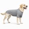 Lovelonglong 2019 Pet Clothing Dog Costumes Basic Blank TShirt Tee Shirts for Medium Large Dogs Gray XXXL