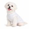 Lovelonglong 2019 Summer Pet Clothing Dog Clothes Blank TShirts Ribbed Tanks Top Thread Vests for Large Medium Small Dogs 100 Cotton White S