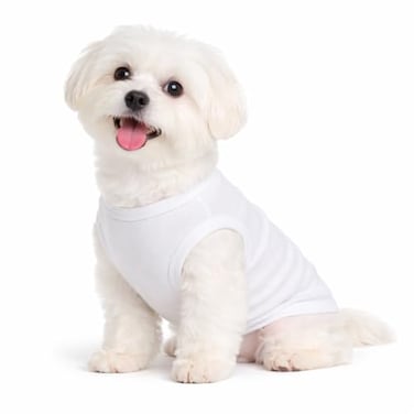 Lovelonglong 2019 Summer Pet Clothing Dog Clothes Blank TShirts Ribbed Tanks Top Thread Vests for Large Medium Small Dogs 100 Cotton White S