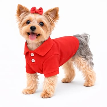 Lovelonglong lovelonglong Basic Dog Polo Shirts Premium Cotton Polo TShirts for Large Medium Small Dogs with a TwoButton Collar Blank Color Red S