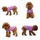 Lovelonglong lovelonglong Basic Dog Polo Shirts Premium Cotton Polo TShirts for Large Medium Small Dogs with a TwoButton Collar Blank Color Violet M