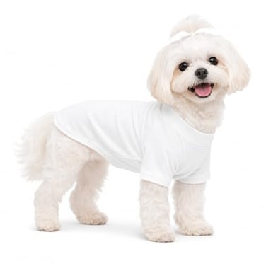 Lovelonglong Dog Pullover Sweatshirt Autumn Winter Cold Weather Dog TShirts for Small Medium Large Size Dogs Yorkshire Terrier Pomeranian Clothes OffWhite S