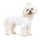 Lovelonglong Dog Pullover Sweatshirt Autumn Winter Cold Weather Dog TShirts for Small Medium Large Size Dogs Yorkshire Terrier Pomeranian Clothes OffWhite S