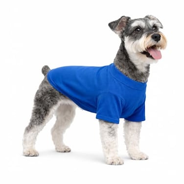 Lovelonglong Pet Clothing Dog Costumes Basic Blank TShirt Tee Shirts for Medium Small Dogs Blue XL