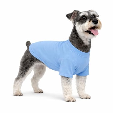 Lovelonglong Pet Clothing Dog Costumes Basic Blank TShirt Tee Shirts for Medium Small Dogs LightBlue XL
