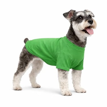 Lovelonglong Pet Clothing Dog Costumes Basic Blank TShirt Tee Shirts for Small Dogs Green L