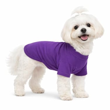 Lovelonglong Pet Clothing Dog Costumes Basic Blank TShirt Tee Shirts for Small Dogs Purple XS