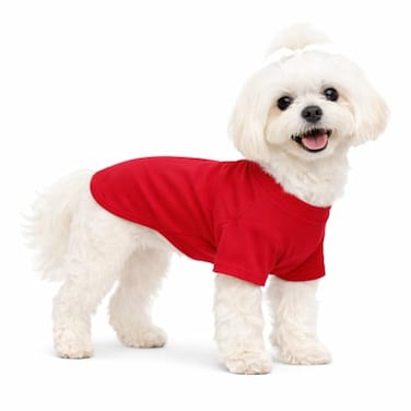 Lovelonglong Pet Clothing Dog Costumes Basic Blank TShirt Tee Shirts for Small Dogs Red S