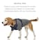 Pet Passion Toby II The Perfect Tee 3 Pack Short Sleeve Pet TShirt 100 Organic Cotton Tees Clothes for Small Medium Large Dogs Sage Camo Small 1025 lbs