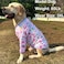 PriPre Dog Cute Blue Unicorn T Shirts Doughnut Pattern Printed Pet Shirt Softable Pajamas for Large Dog XLUnicorn