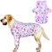 PriPre Dog Cute Blue Unicorn T Shirts Doughnut Pattern Printed Pet Shirt Softable Pajamas for Large Dog XLUnicorn