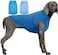 SyChien Sychien Dog Blank Blue ShirtBoy Girl Dogs Large Tee ShirtsPlain Dachshund TShirtXL Blue Royal