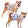SyChien Sychien Hawaiian Dog ShirtsQuick Dry Summer Cooling Mesh Coconut Printing TShirt for Medium DogsBlueYellow M