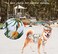 SyChien Sychien Hawaiian Dog ShirtsQuick Dry Summer Cooling Mesh Coconut Printing TShirt for Medium DogsBlueYellow M