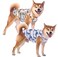 SyChien Sychien Hawaiian Dog ShirtsQuick Dry Summer Cooling Mesh Coconut Printing TShirt for Medium DogsBlueYellow M